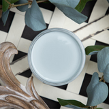 Dixie Belle Savannah Mist chalk mineral paint - flat lay