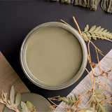 Dixie Belle Thicket chalk mineral paint - flat lay
