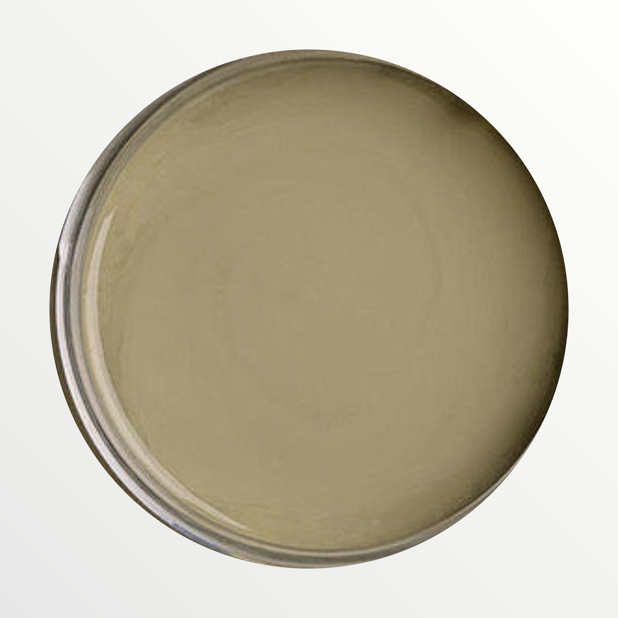 Dixie Belle Thicket chalk mineral paint - open pot