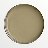 Dixie Belle Thicket chalk mineral paint - open pot