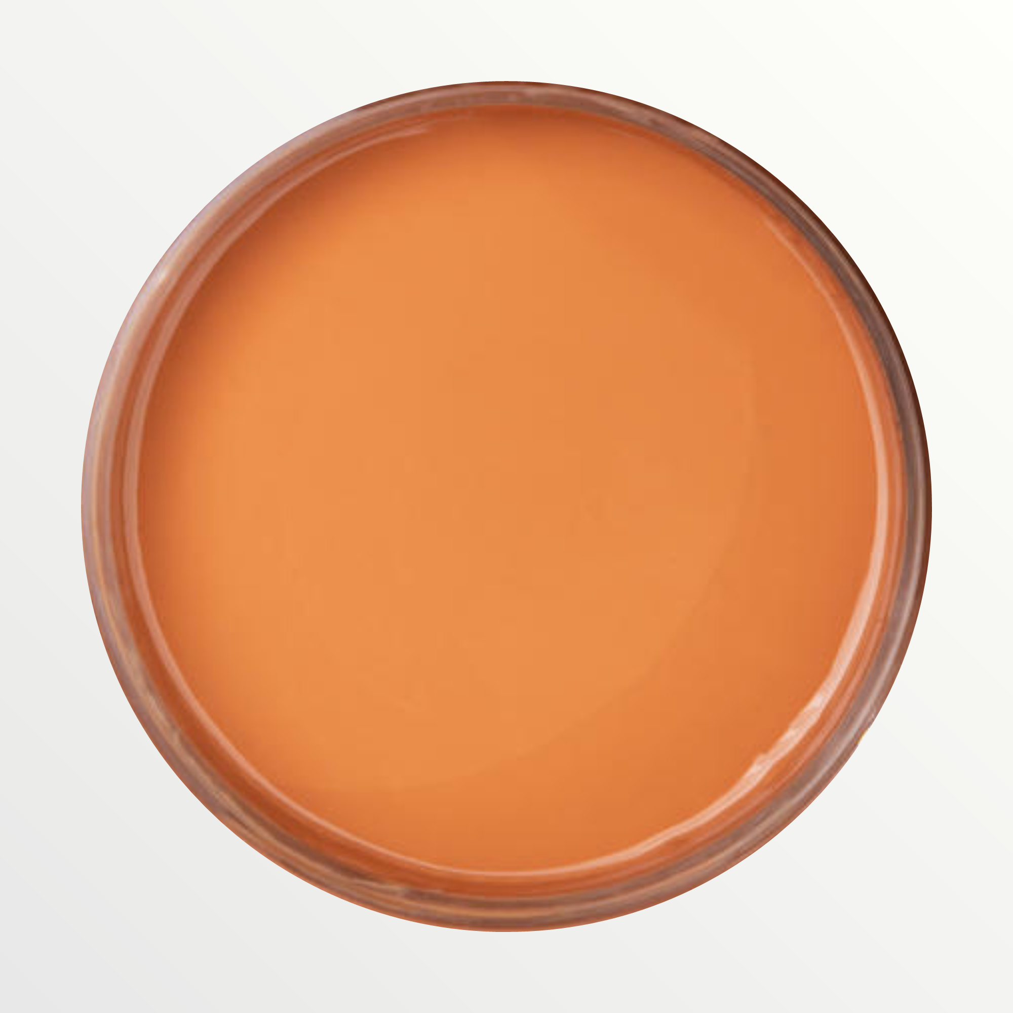 Dixie Belle Terracotta chalk mineral paint - open pot