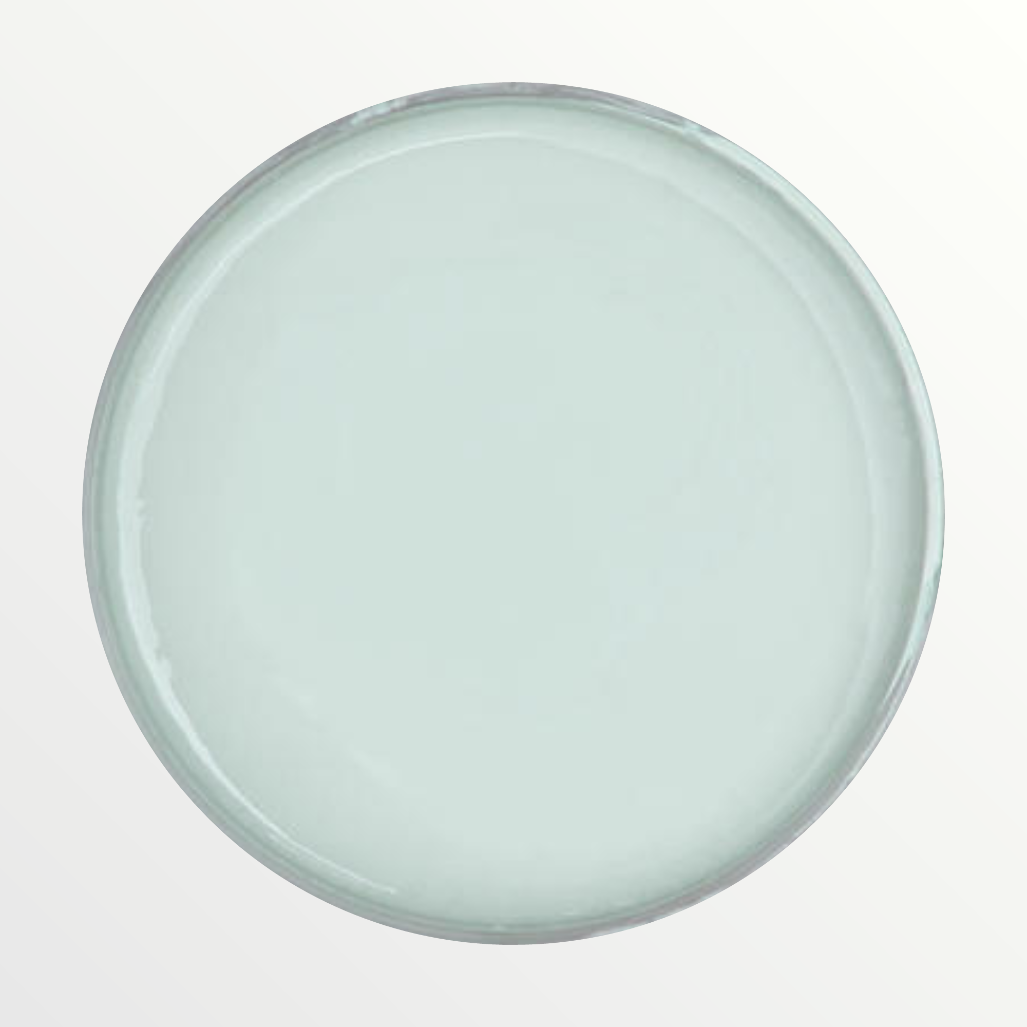 Dixie Belle Vintage Duck Egg chalk mineral paint - open pot